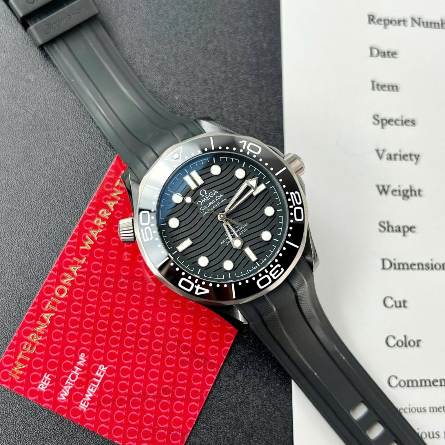 Omega Seamaster 300M Black Dial 42mm (Swiss 1:1 Grade Watch)